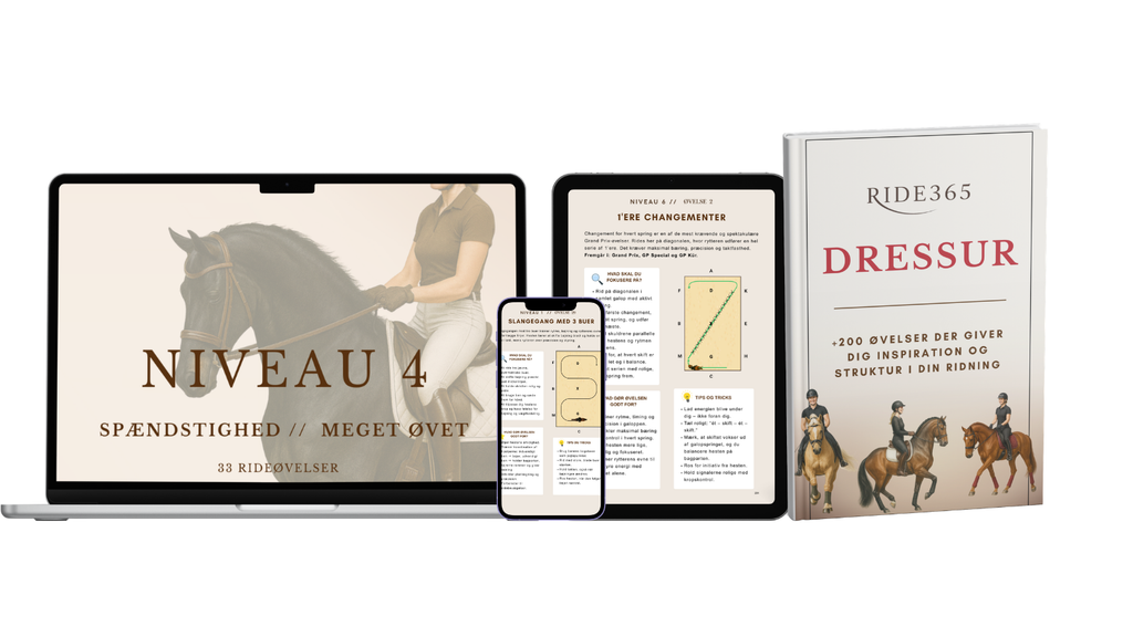 RIDE365 - DRESSUR
