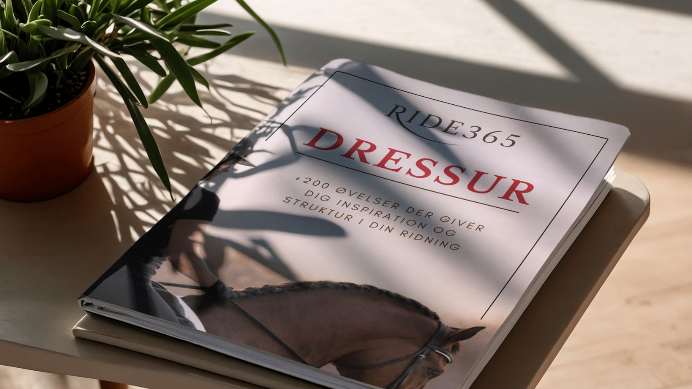 RIDE365 - DRESSUR